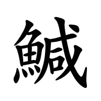 鰔的筆畫(huà)