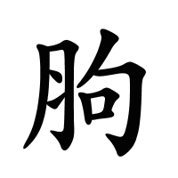 胊的筆畫(huà)